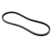 Kohler - V-Belt for MAN Engines - 51.96820-0288 product image