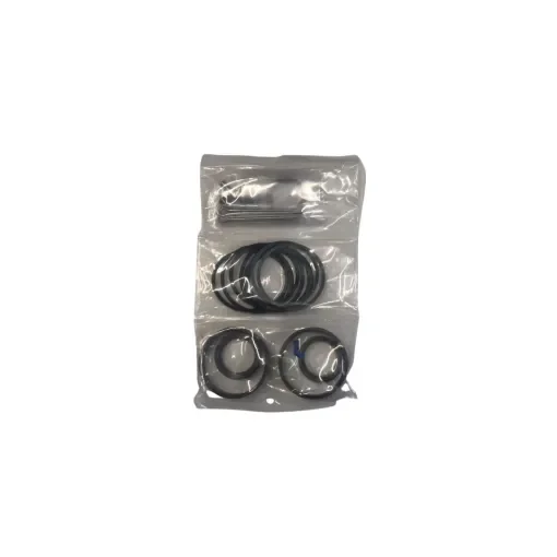 Arneson - Steering Seals Kit ASD8/10 - 1007036 product image