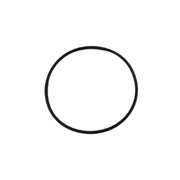 MAN - Sea Water Pump Cover O-Ring for Impeller - 51.96501-0580 product image