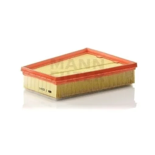 Mann Filter - C2510/1 Air Filter - Premium Engine Protection product image