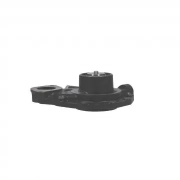 Kohler Fresh Water Pump - GM17513 product image