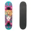 FISH - 31'' Lion Lady Complete Skateboard Set - 0501-318941 product image