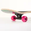 FISH - 31'' Lion Lady Complete Skateboard Set - 0501-318941 product image