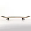 FISH - 31'' Wolf Skateboard Complete Set - 0501-3183841 product image