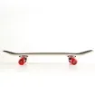 FISH - 31'' Street Skateboard Complete Set - 0501-318441 product image