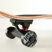 FISH - 31'' Eye Skateboard Complete Set - 0501-3181542 product image