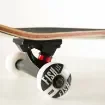 FISH - 31'' Fall Skateboard Complete Set - 0501-3186842 product image
