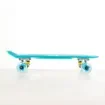 FISH - 22.5” Mini Cruiser Skateboard with LED Wheels - 0504-226129 product image