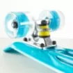 FISH - 22.5” Mini Cruiser Skateboard with LED Wheels - 0504-226129 product image