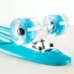 FISH - 22.5” Mini Cruiser Skateboard with LED Wheels - 0504-226129 product image