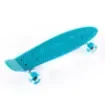 FISH - 22.5” Mini Cruiser Skateboard with LED Wheels - 0504-226129 product image