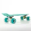 FISH - 22.5” Mini Cruiser Skateboard with LED Wheels - 0504-2261129 product image