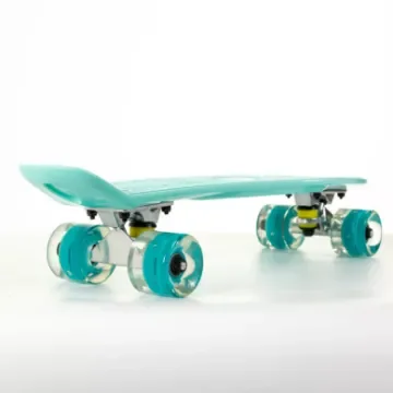 FISH - 22.5” Mini Cruiser Skateboard with LED Wheels - 0504-2261129 product image