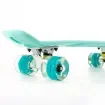 FISH - 22.5” Mini Cruiser Skateboard with LED Wheels - 0504-2261129 product image