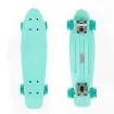 FISH - 22.5” Mini Cruiser Skateboard with LED Wheels - 0504-2261129 product image