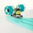 FISH - 22.5” Mini Cruiser Skateboard with LED Wheels - 0504-2261129 product image