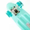 FISH - 22.5” Mini Cruiser Skateboard with LED Wheels - 0504-2261129 product image