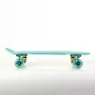 FISH - 22.5” Mini Cruiser Skateboard with LED Wheels - 0504-2261129 product image