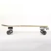 FISH - 30'' Waves Surf Skateboard Complete Set - 0502-3297142 product image