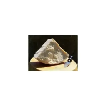 Antica Fattoria Scalabrini - Aged Parmesan Cheese 22 Months - 15030003 product image