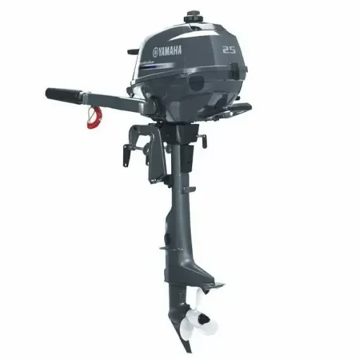 Yamaha F2.5 service kit product image