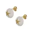 Silver earrings with gold plated sea urchins - Nauticalgifts product image