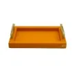Collection Madeline Rectangular Tray With Golden Brass Handles - Covered In Orange Grained Leather - Small Size - 30cm x  20cm x  3,5cm - Frame 2.5cm - Weight : 950 Gr - Gordon & Gaia product image