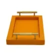 Collection Madeline Rectangular Tray With Golden Brass Handles - Covered In Orange Grained Leather - Small Size - 30cm x  20cm x  3,5cm - Frame 2.5cm - Weight : 950 Gr - Gordon & Gaia product image