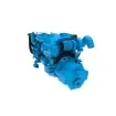 Nanni - Marine Diesel Engine 305 HP - T6.300 product image