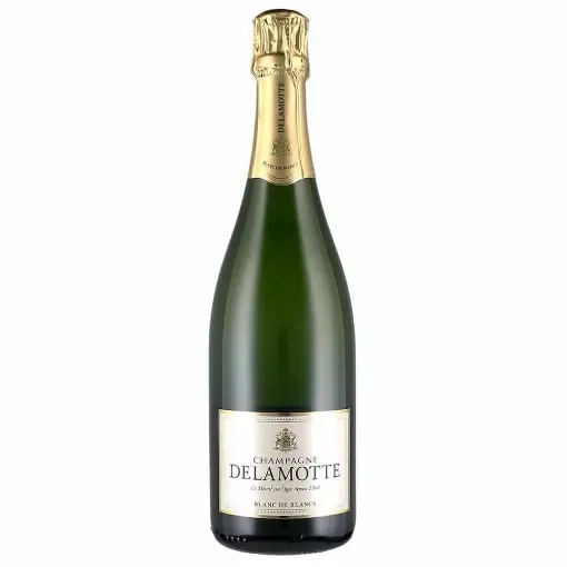 Delamotte - Blanc De Blancs Champagne - 100% Chardonnay product image