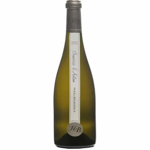Henri Bourgeois - Sancerre D'antan Sauvignon Blanc product image
