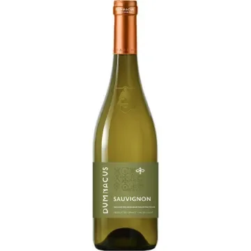 Dumnacus Vignerons - Loire Rebelle Sauvignon Blanc - Premium White Wine product image