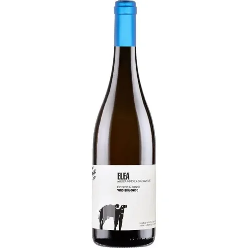 San Salvatore 1988 - Greco - Paestum Igp Wine product image