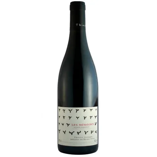Thierry Germain - Domaine Des Roches Neuves Saumur Champigny - Red Wine product image