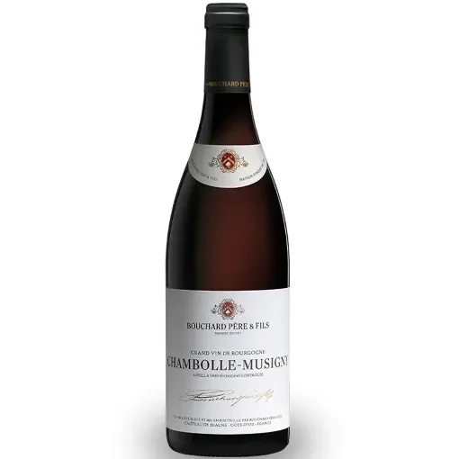 Bouchard Père & Fils - Chambolle Musigny Red Wine product image