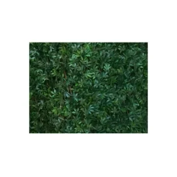 Jet7garden - Vine Leaf Trellis Green 1.00x2.00m - J7GTREILVV product image