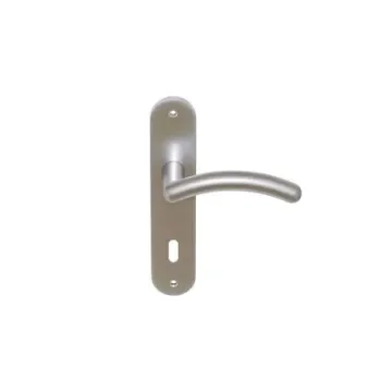 Divers - Chrome Door Handle Yang 165 - WD1023PM product image