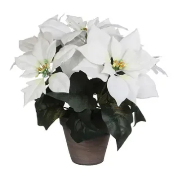 MICA DECORATIONS - Artificial White Poinsettia Plant 27x35cm - 83589 product image