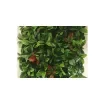Jet7garden - Artificial Foliage Wall Panels Red Robin - J7GREDROB product image