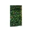 Jet7garden - Artificial Foliage Wall Panels Red Robin - J7GREDROB product image