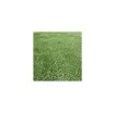 Jet7garden - Synthetic Grass 50mm Roll 4x25m - JET7GREEN45-NATUREx50 product image