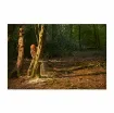 Ryobi - 36V LithiumPlus Brushless Chainsaw - RY36CSX35A-0 product image