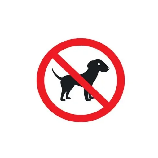 Divers - UV Plasticised Polymer Adhesive No Dogs Allowed - AD101 product image
