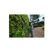 Ryobi - 18V One+ Hedge Trimmer - OPT1845 product image