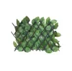 Jet7garden - Rose Leaf Trellis Soft Green 1.00x2.00m - J7GTREILFR product image