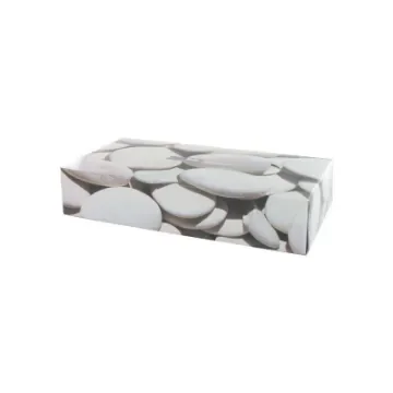 Techline - Box of 100 White 2-Ply Tissues - 390699 product image