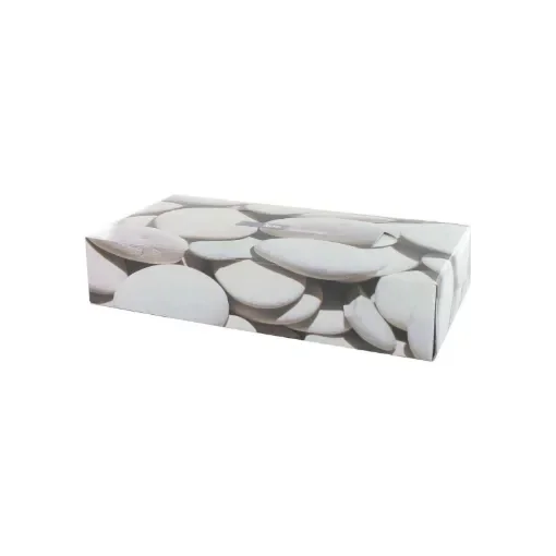 Techline - Box of 100 White 2-Ply Tissues - 390699 product image