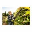 Ryobi - LithiumPlus Hedge Trimmer 36V - RHT36B61R product image