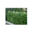 Jet7garden - Artificial Hedge Roll Soft Green Rose Leaves - J7GFROSIER150 product image