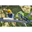 Ryobi - 18V One+ Lithium Hedge Trimmer & Pole Saw - 5133003654-5133001250 product image